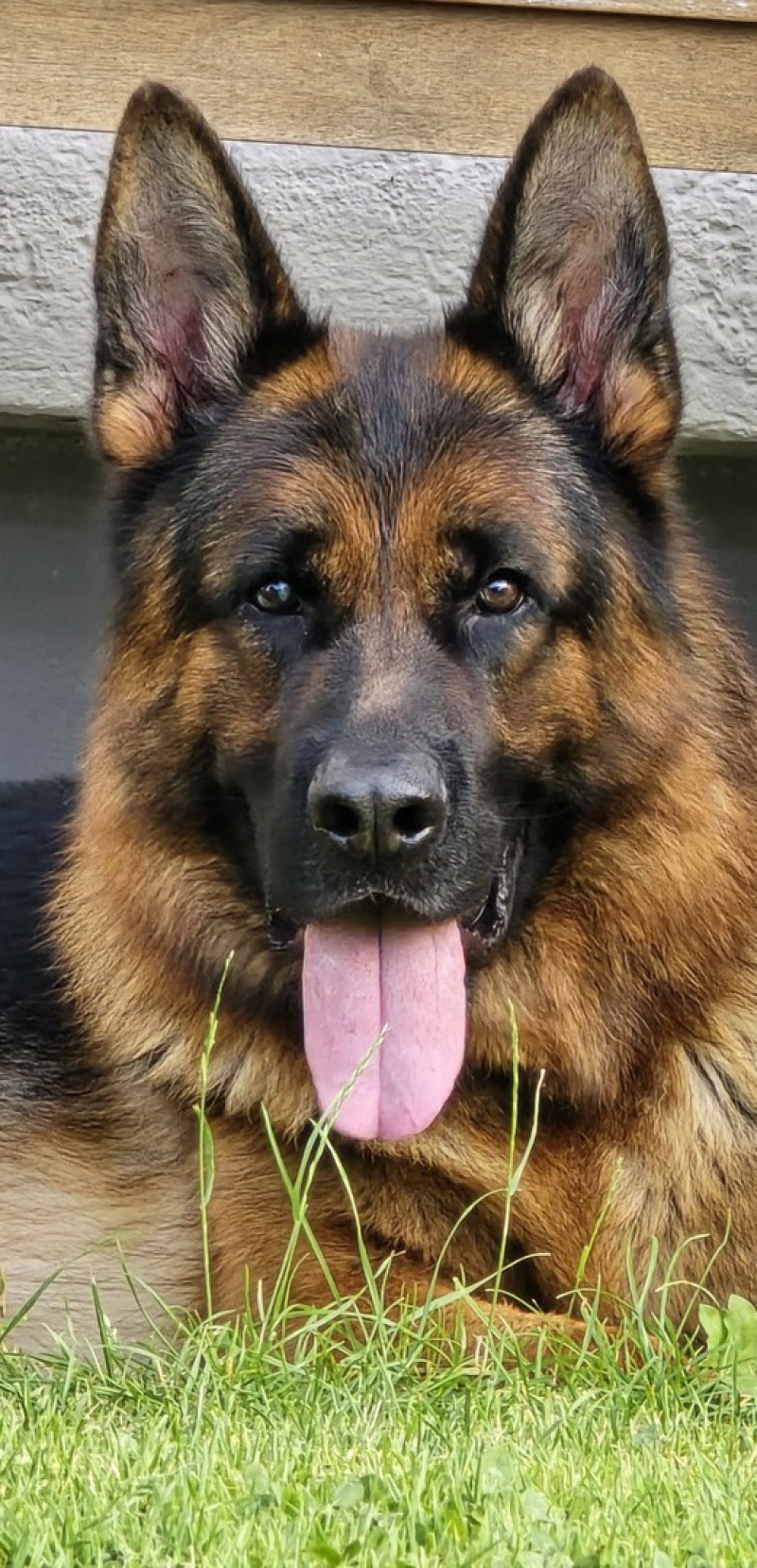 Quando v. Königssee